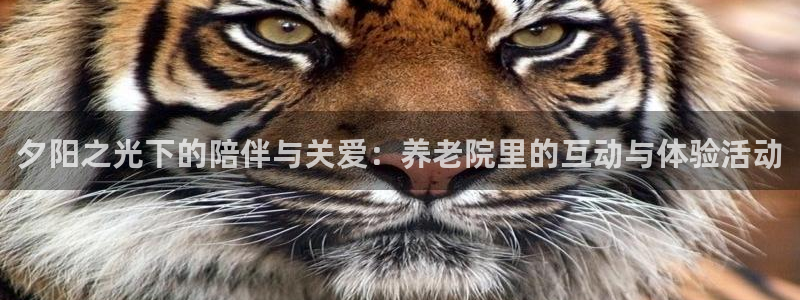 韦德1946官网