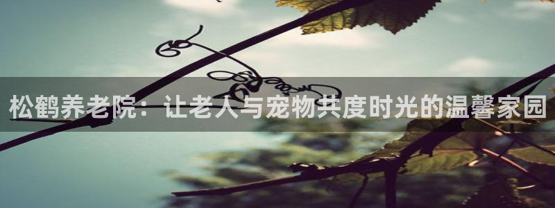 韦德全系列