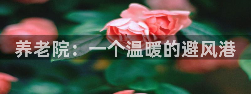 韦德合集