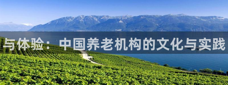 韦德属于什么