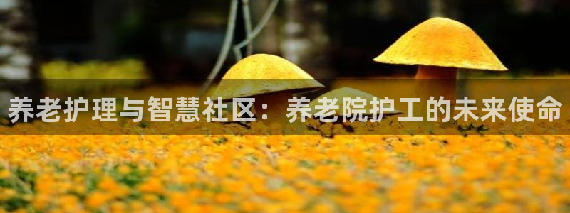 韦德官网注册推荐网站下载