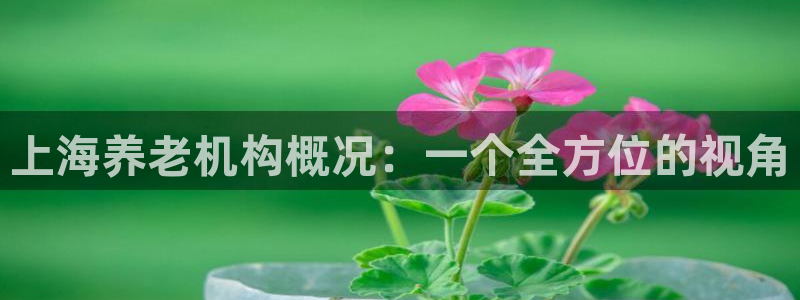 1946韦德游戏
