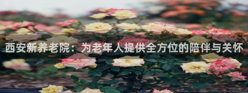 韦德官方下载