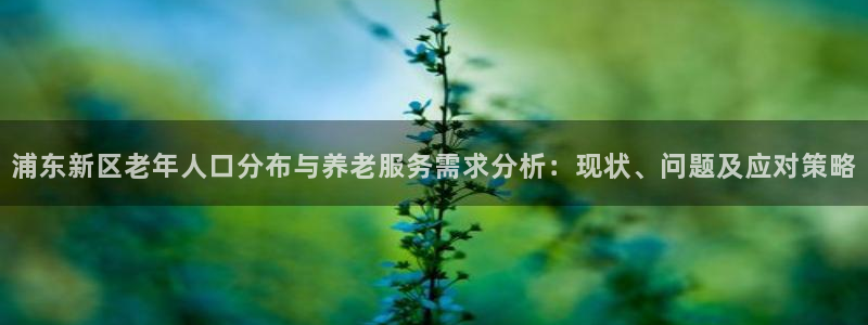 韦德网站官网