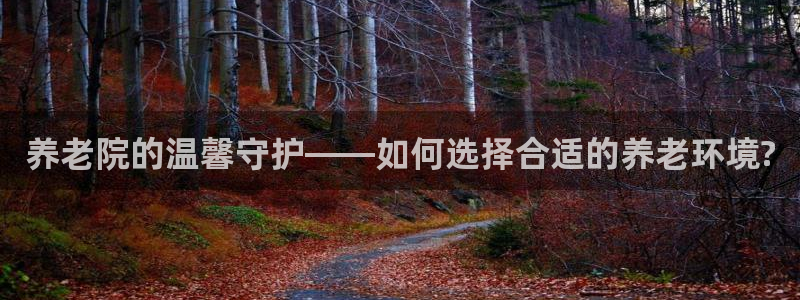 韦德官网注册推荐网站是什么