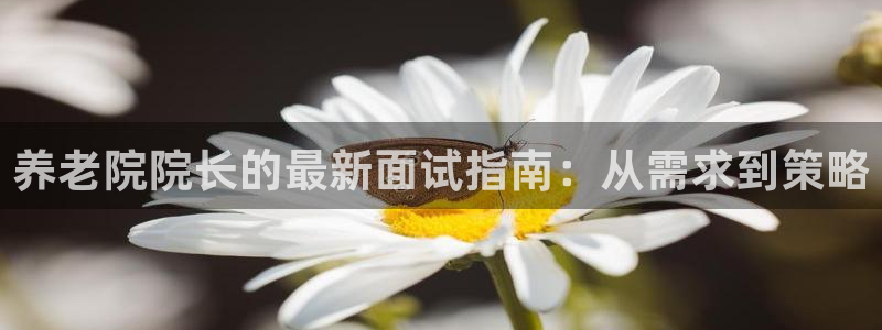 韦德1946体育官方入口