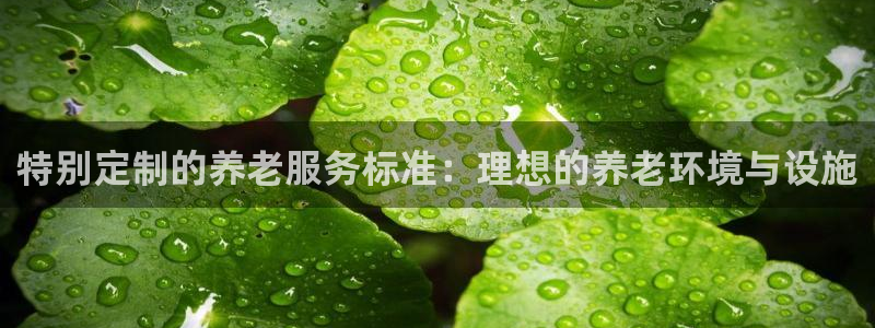 韦德官方网址大全