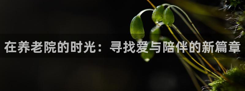韦德1946