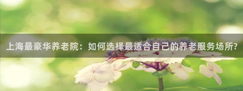 韦德1567