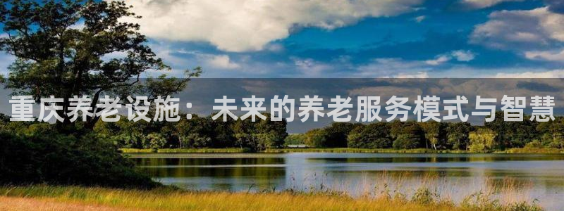 韦德新品