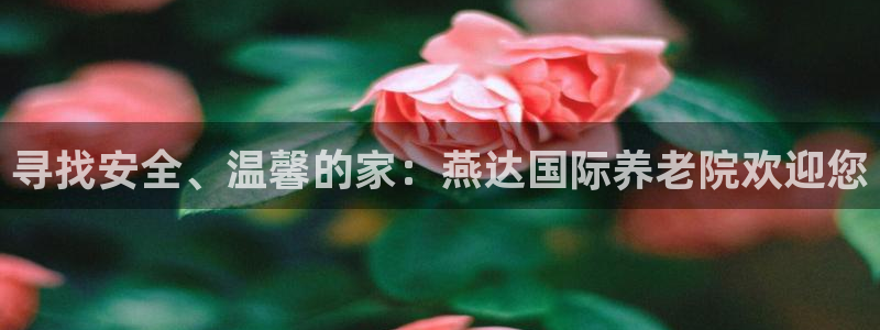 韦德国际体育