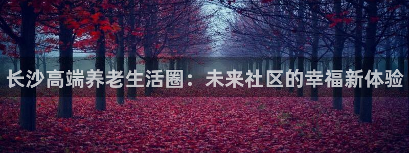 韦德是哪个