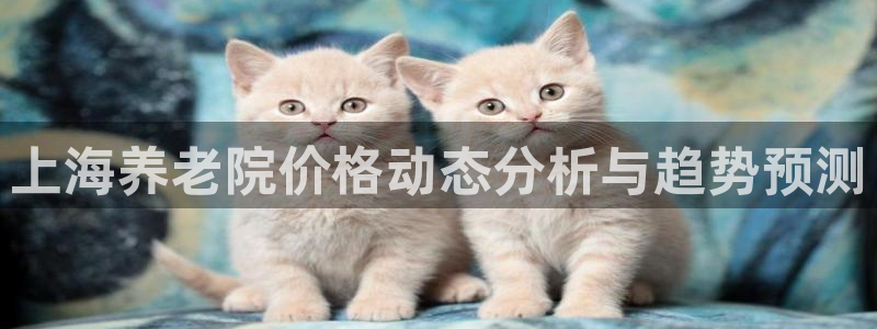 韦德app手机下载