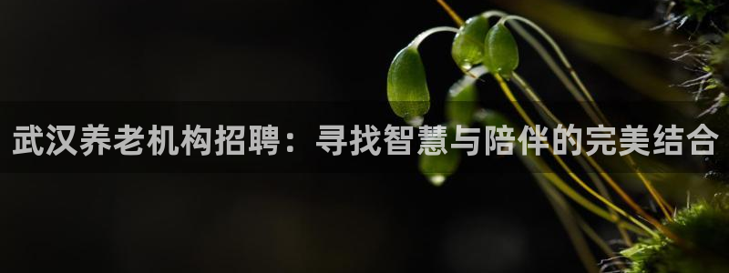 韦德网址
