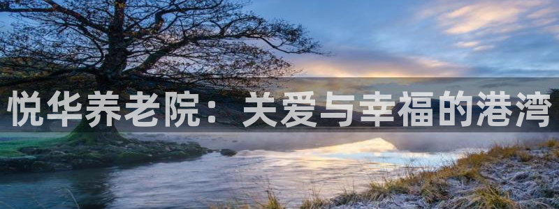 韦德1946体育官方入口