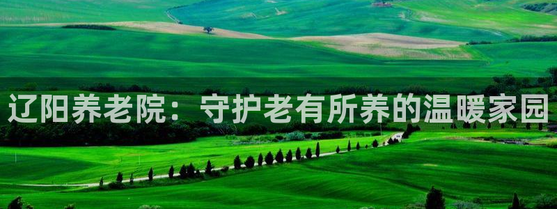 韦德注册手机版下载