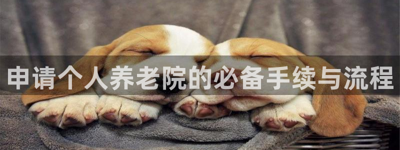 韦德app手机下载