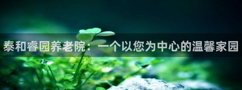 韦德观战总决赛G3