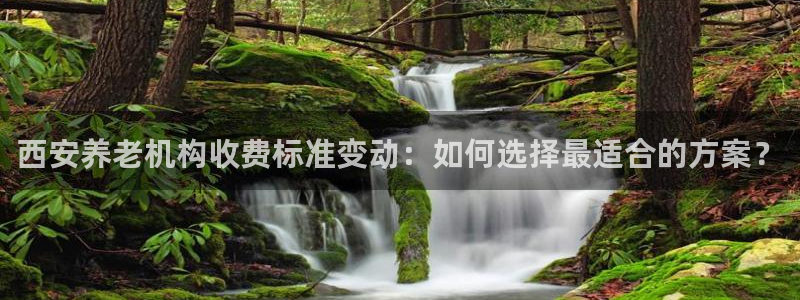 韦德8月22日开启中国行