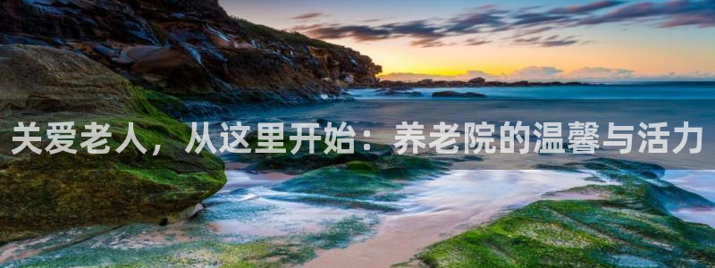 韦德1946备用网站