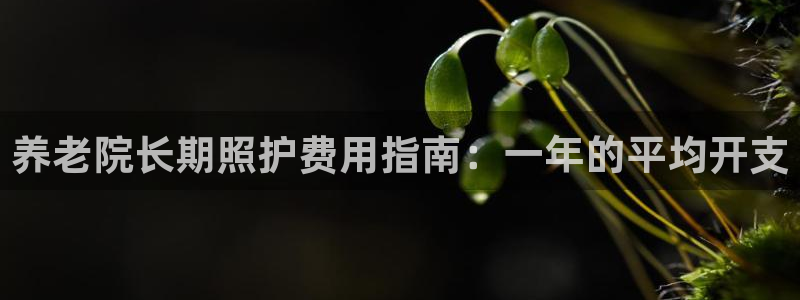 韦德网站官网