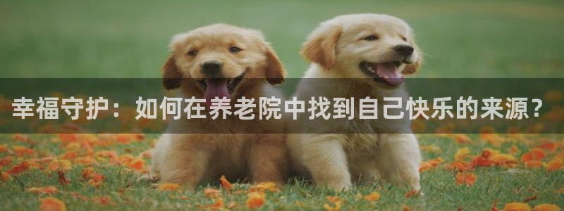 韦德网址