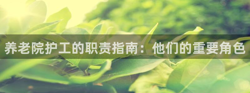 韦德官网注册推荐网站是什么