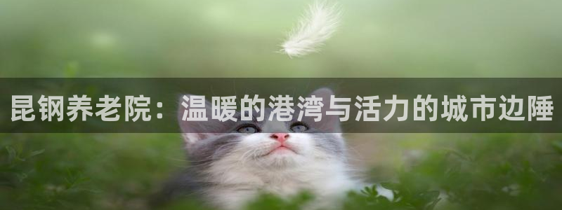 韦德注册手机版