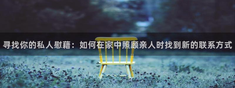 韦德网站是多少