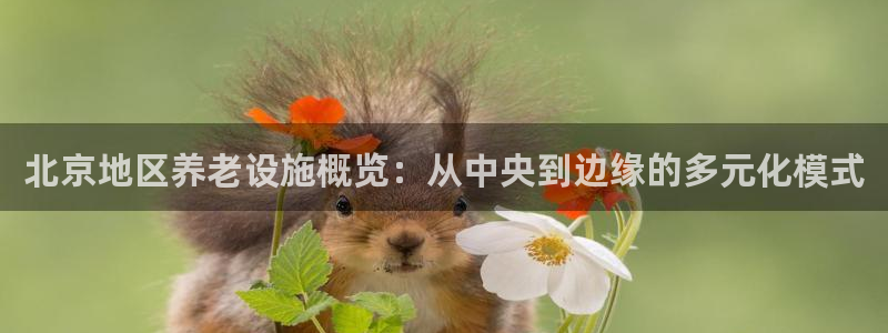 韦德app手机下载