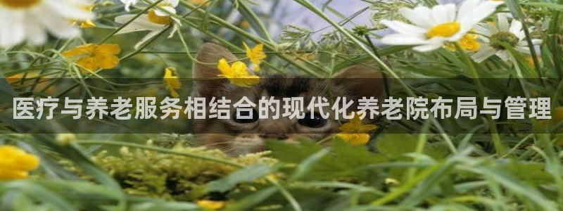 韦德1946官方网站