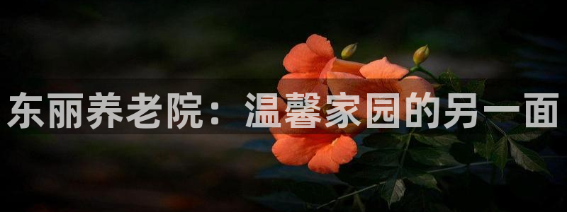 韦德1946备用网站