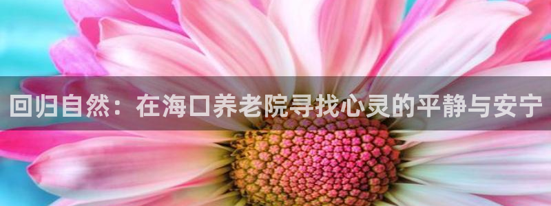 韦德注册手机版