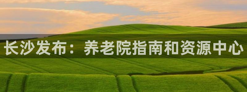 韦德1946备用网站