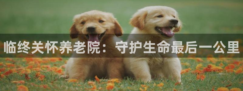 1946韦德官网