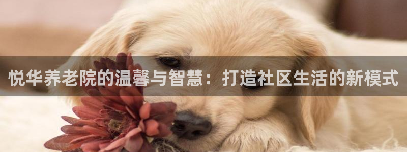 韦德1946网址